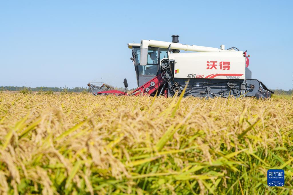 大富翁4游戏单机版