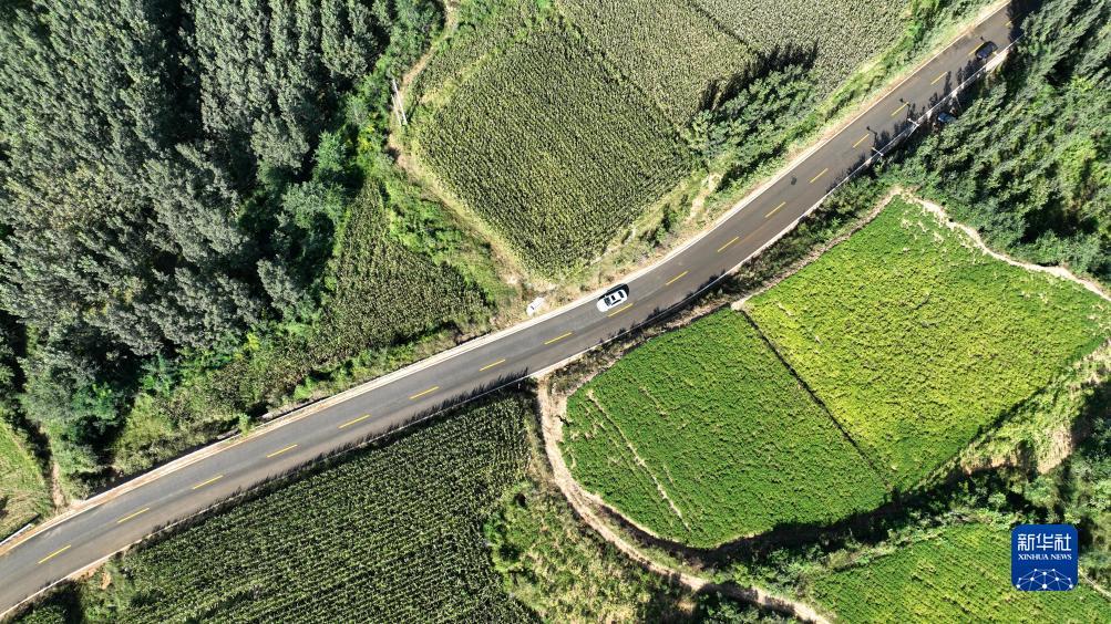 大红鹰游戏线路